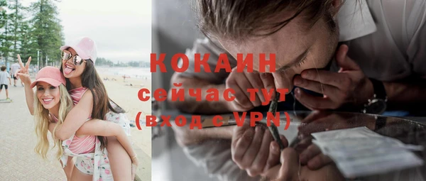 дмт Новодвинск