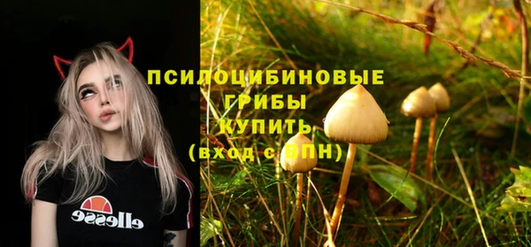 мяу мяу мука Новокубанск
